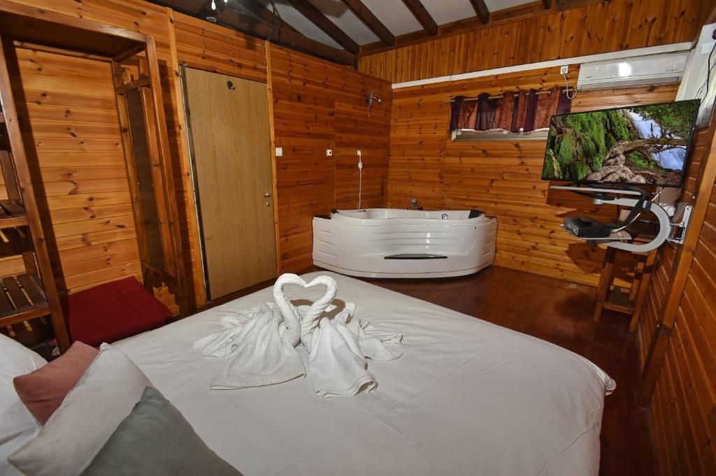 A Corner in the Spring - The Large Family Cabin 3