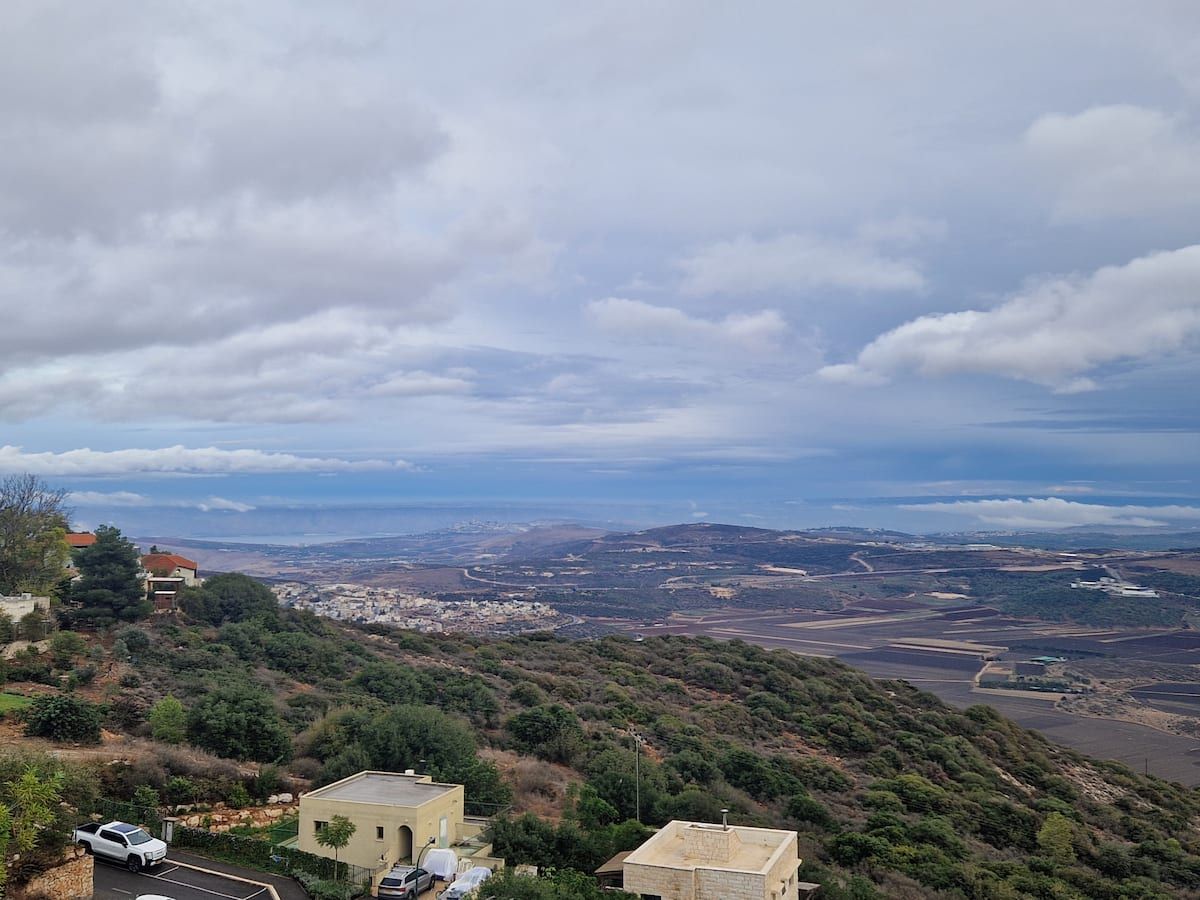 Alona Art from Nature-Suite 2